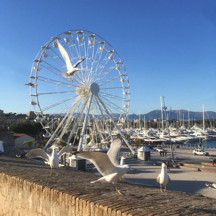 Tortue De Mer Antibes Kültér fotó